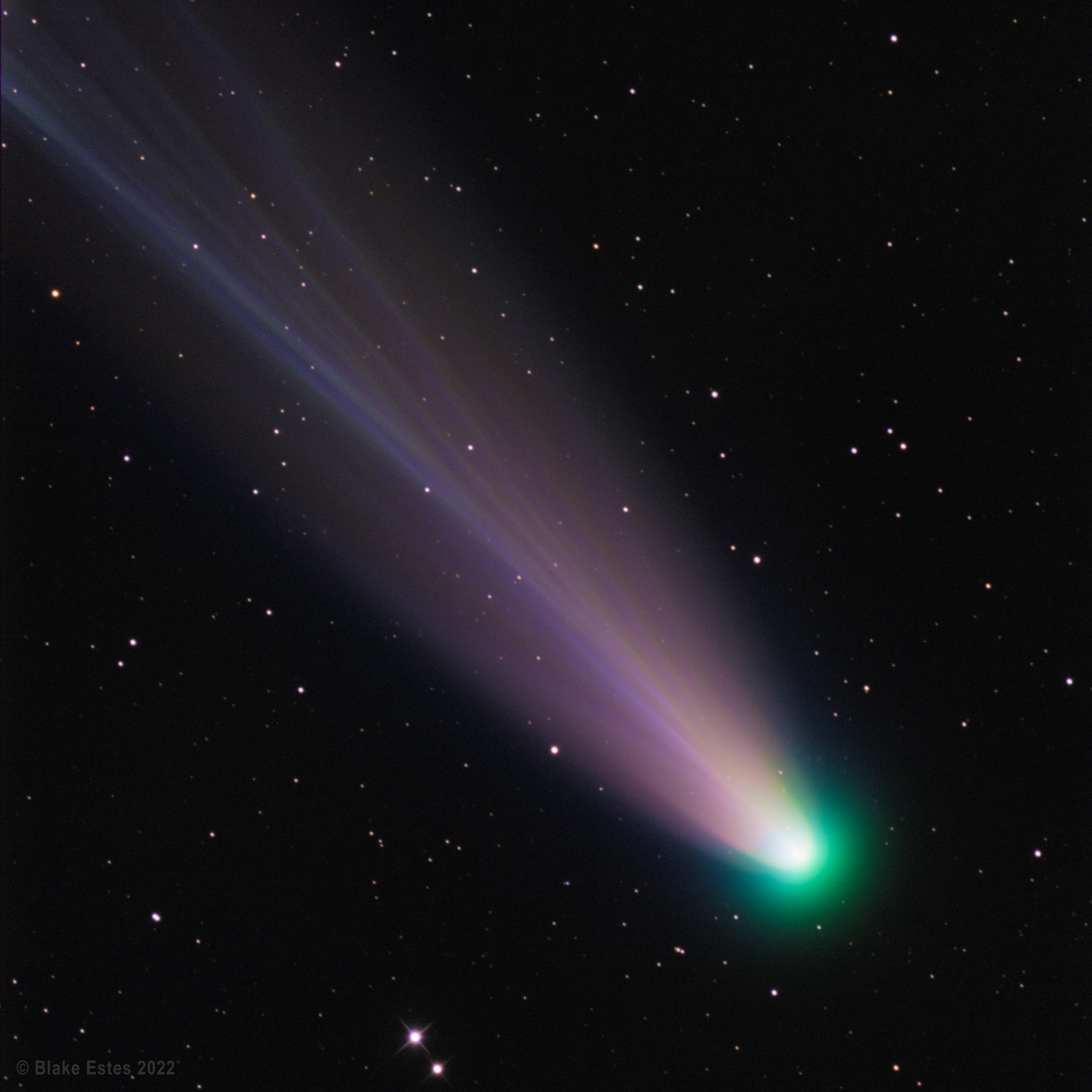 Comet Leonard Closeup from Australia Image