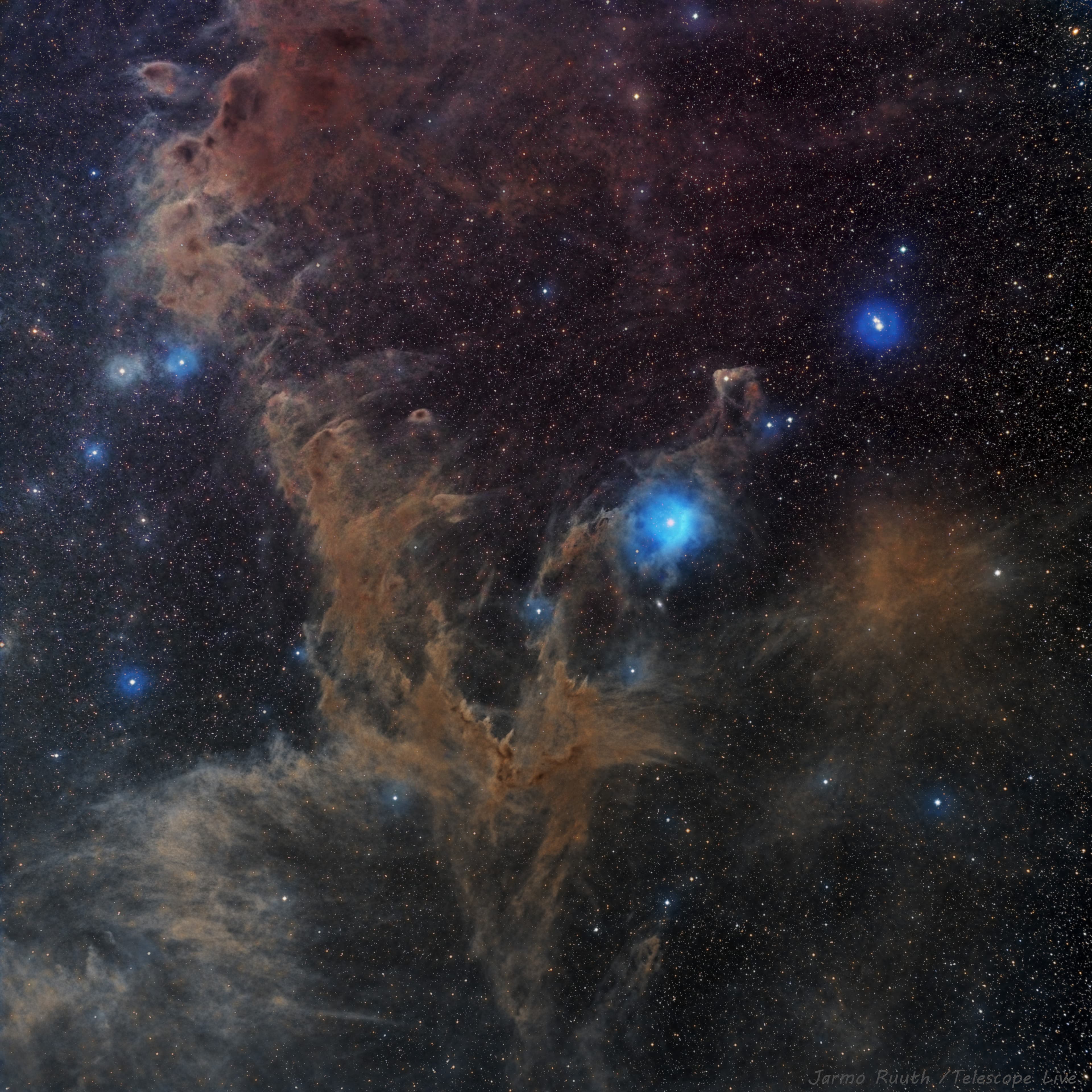 Chamaeleon Dark Nebulas Image