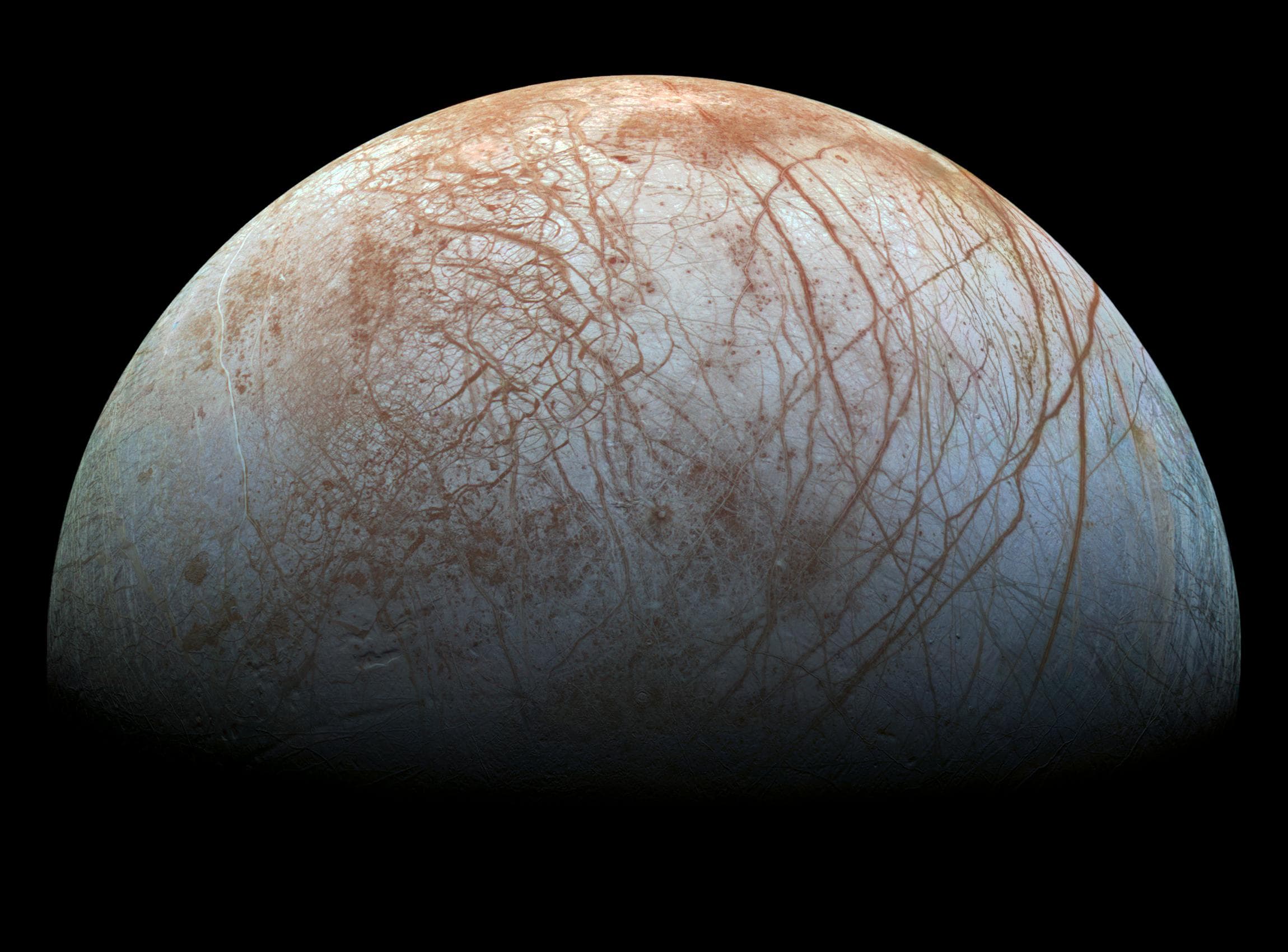 Galileo's Europa Image